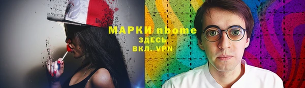 хмурый Арсеньев
