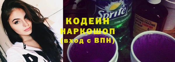 хмурый Арсеньев