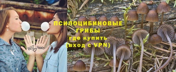 гашик Баксан