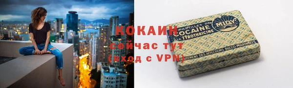 индика Аркадак