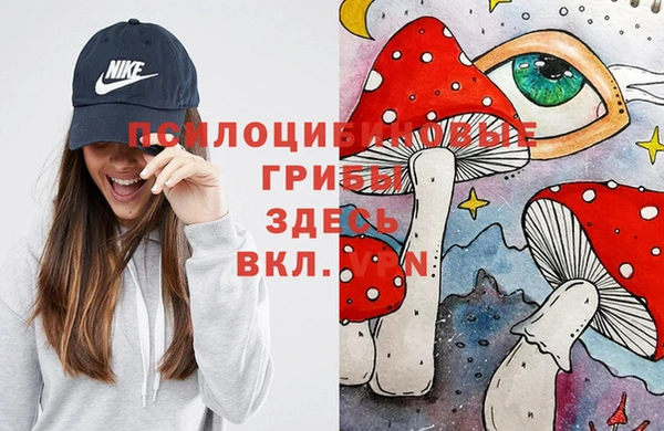 гашик Баксан