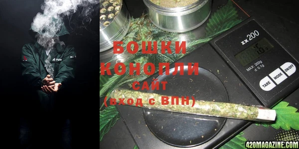 индика Аркадак