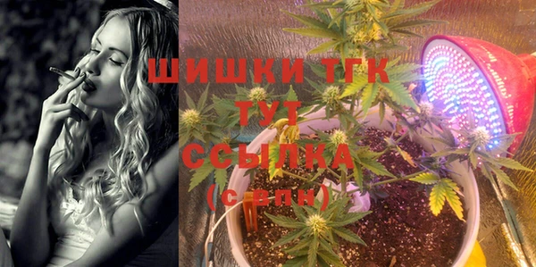 индика Аркадак