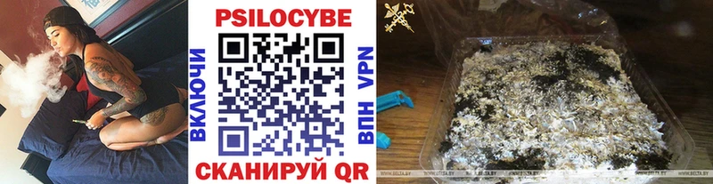 Псилоцибиновые грибы Cubensis мега ссылки Удомля